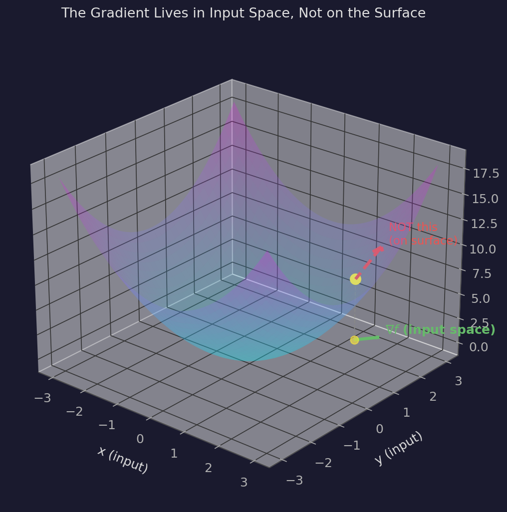 The green arrow is the gradient — it lives flat in the input (x,y) plane. The red dashed arrow on the surface is what people often imagine the gradient is, but that's wrong. The gradient is a 2D vector in the space you're navigating, not a 3D vector on the surface.