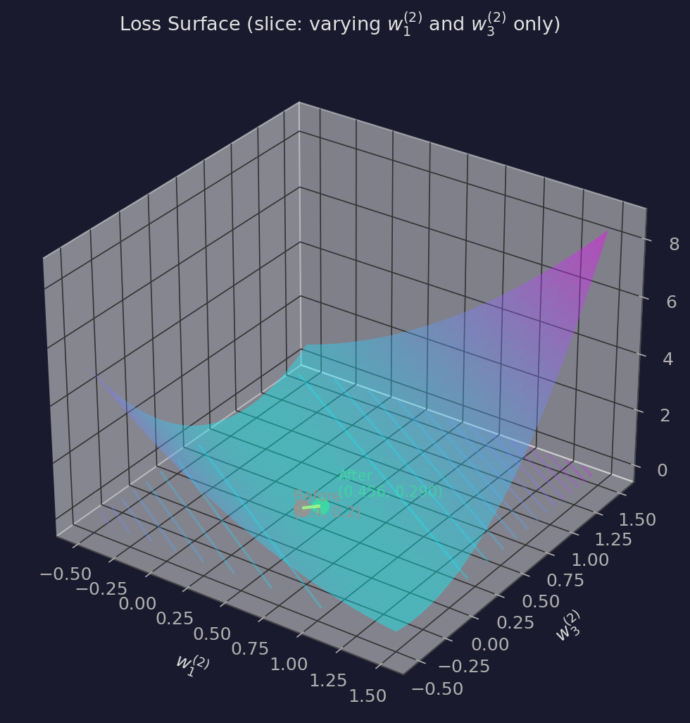 A 2D slice of the loss surface, varying only the two active output-layer weights. The red dot shows where we started, the green dot shows where one SGD step took us — sliding down the valley toward the minimum.